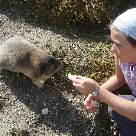 Apartman Haus Belle-vue