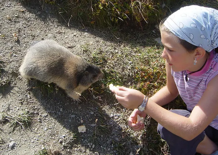 Apartment Haus Belle-vue