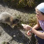 Daire Haus Belle-vue